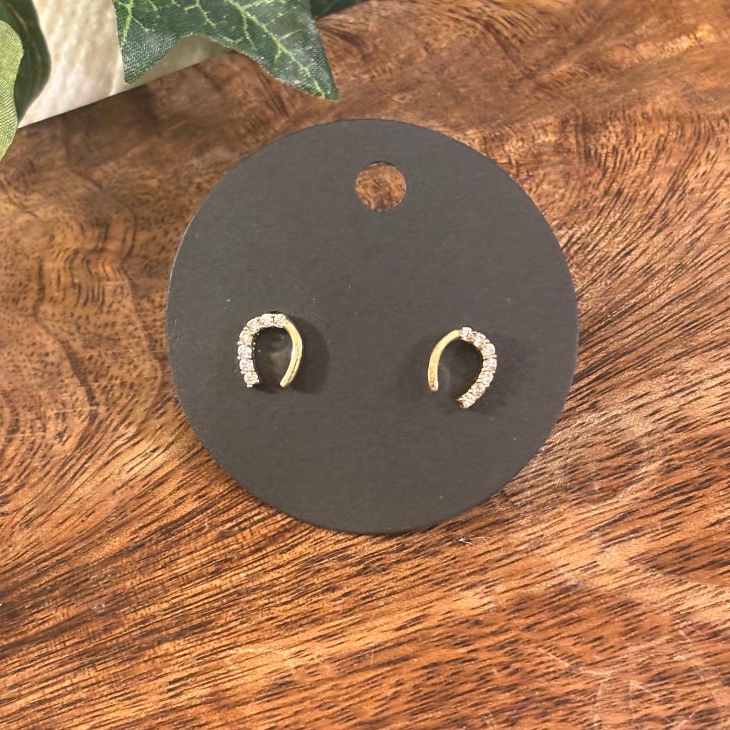 Horseshoe Post Back Earrings