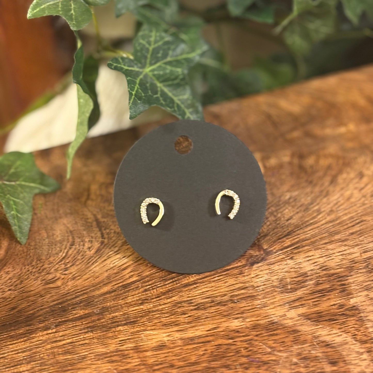 Horseshoe Post Back Earrings
