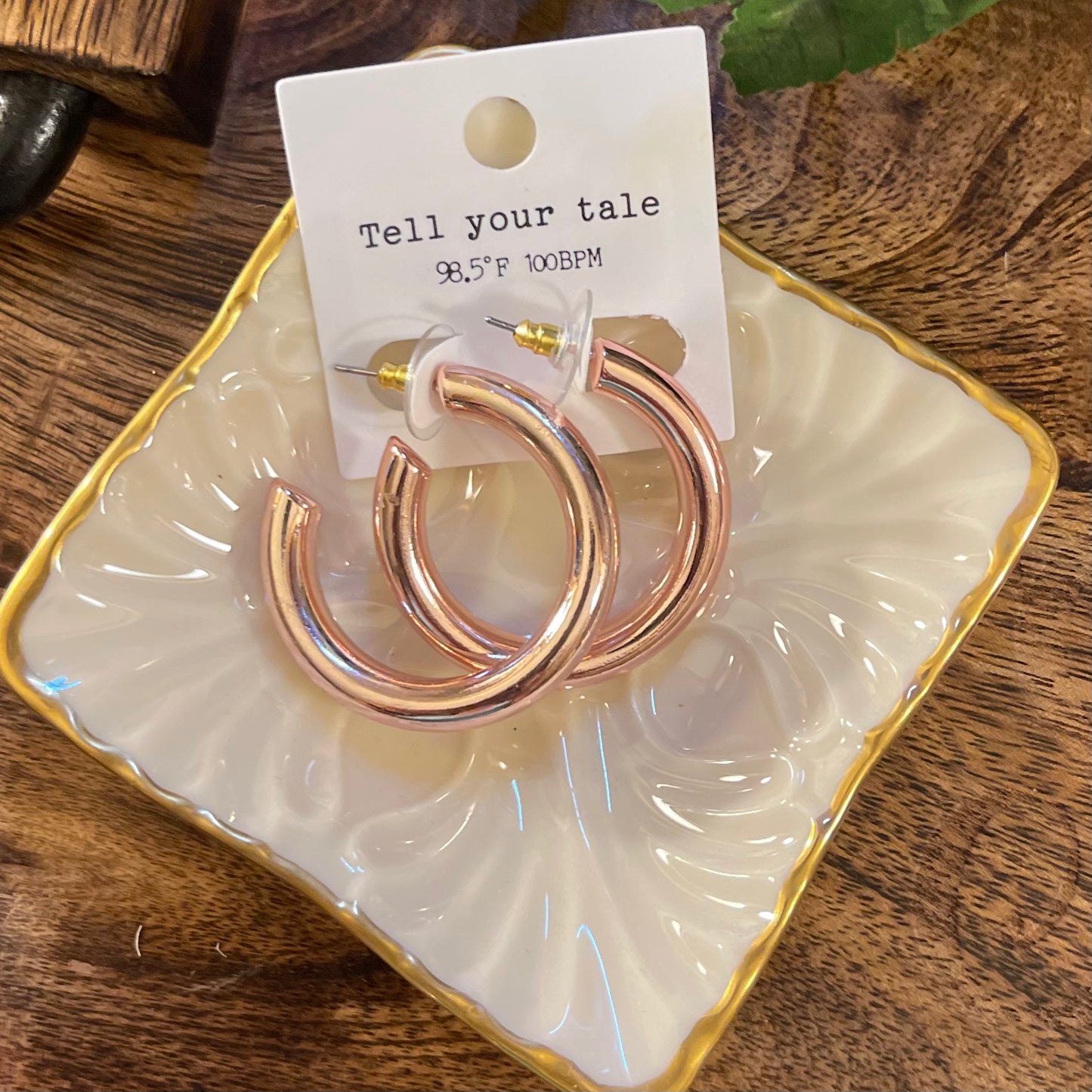 Solid Color Metal Hoop Earrings
