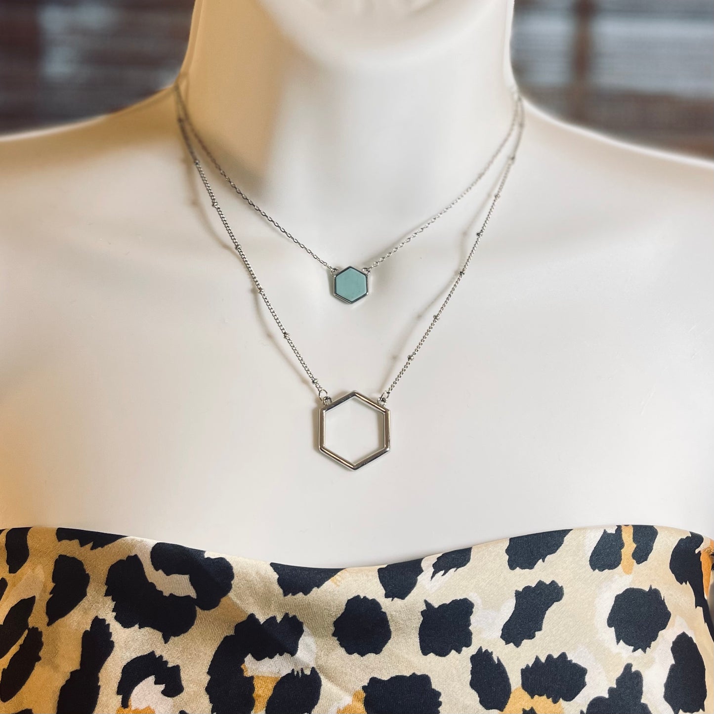 Silver Layered Necklace and Earrings Set