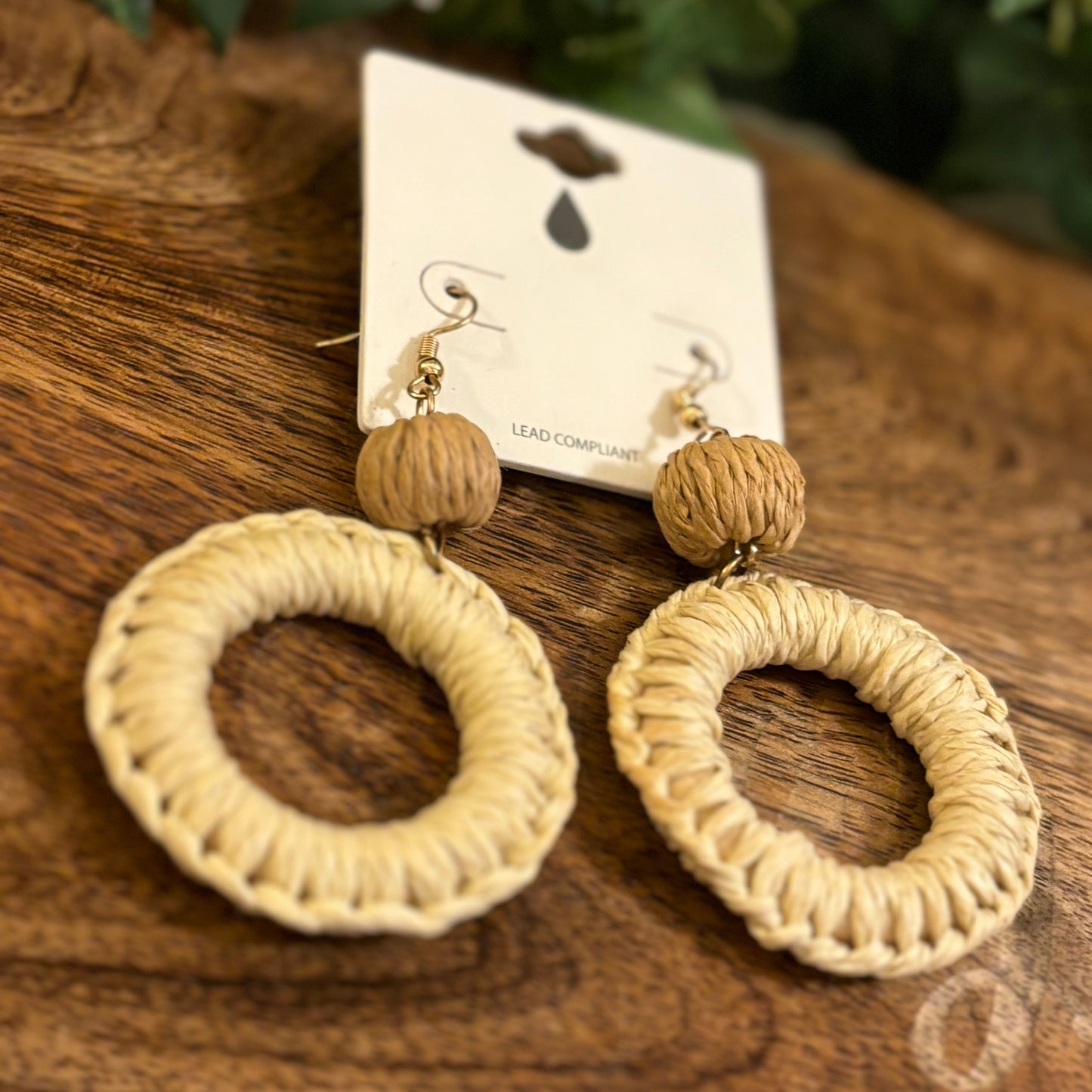 Double Circle Rattan Round Dangle Earrings