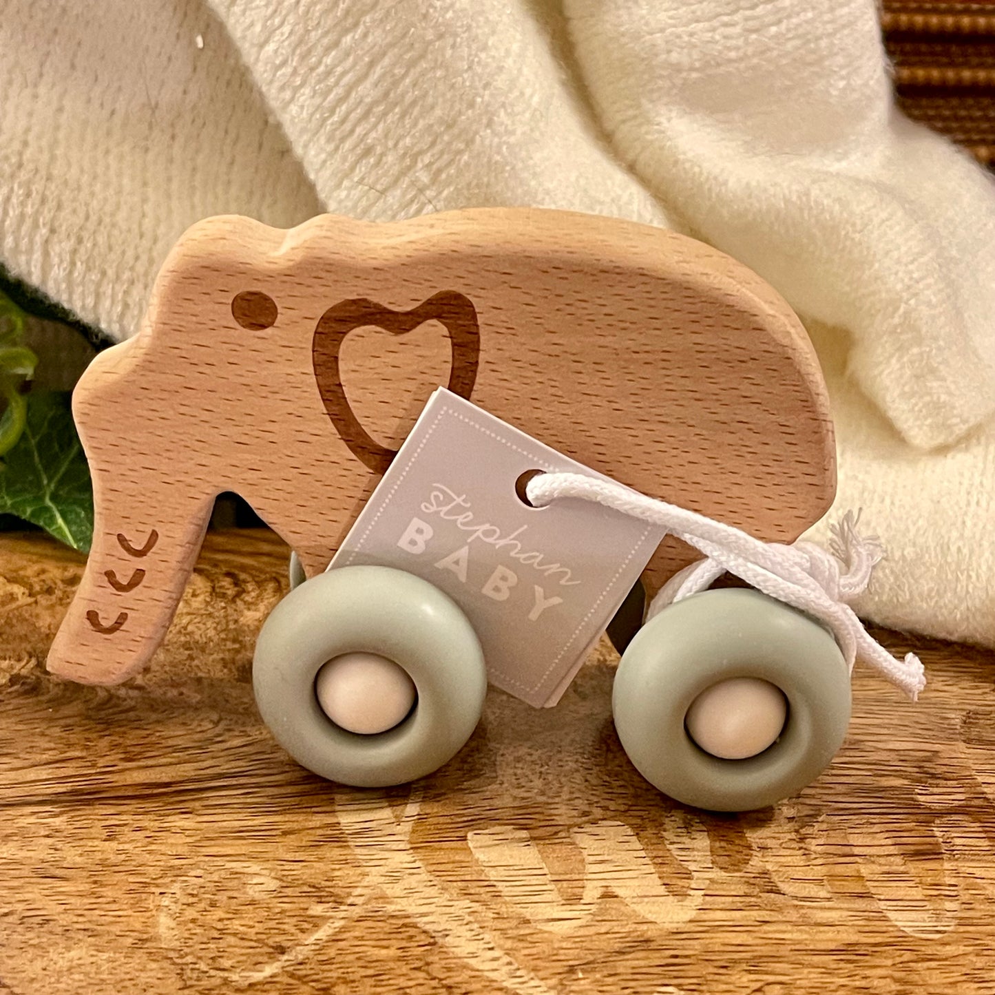 Wooden Push Teething Toy