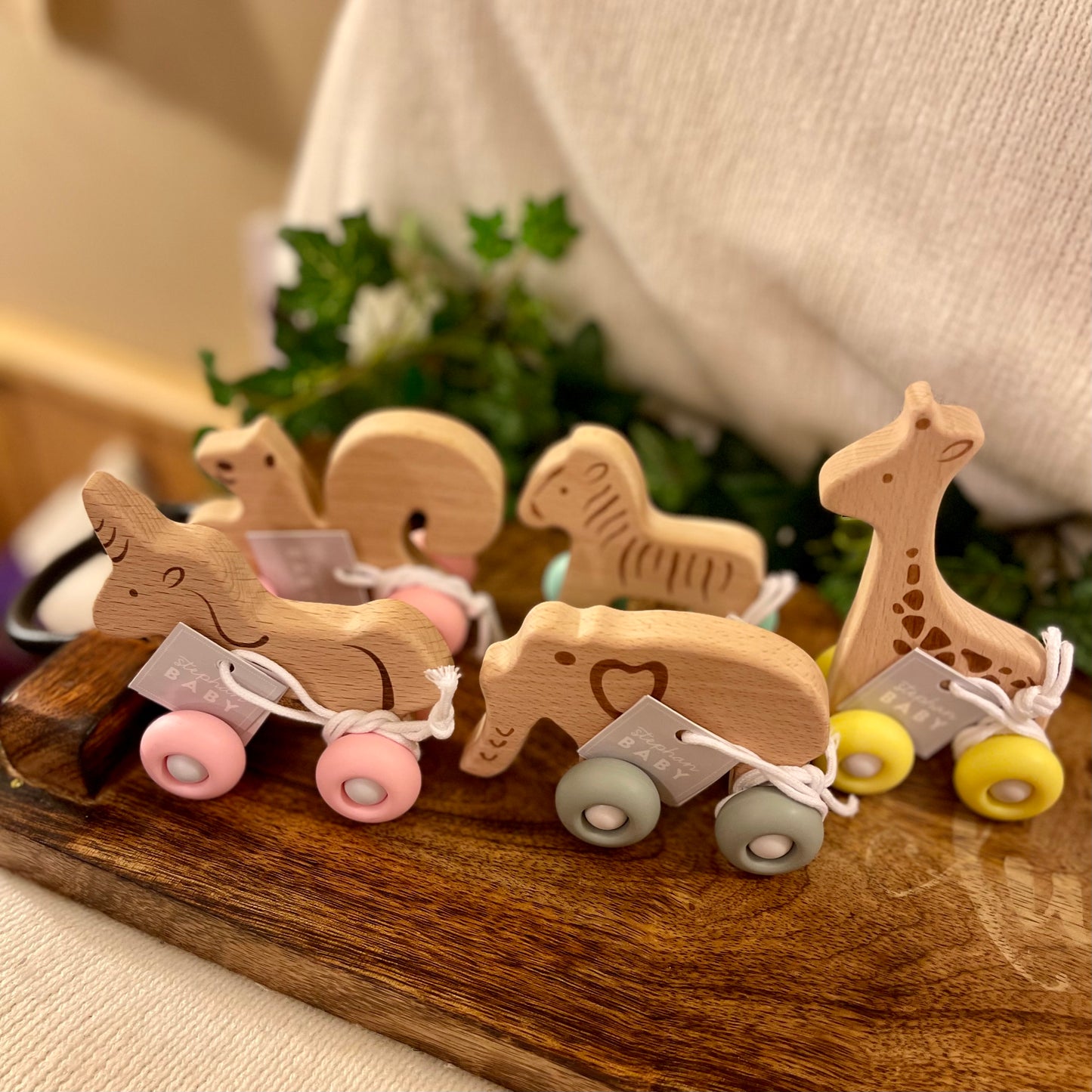 Wooden Push Teething Toy