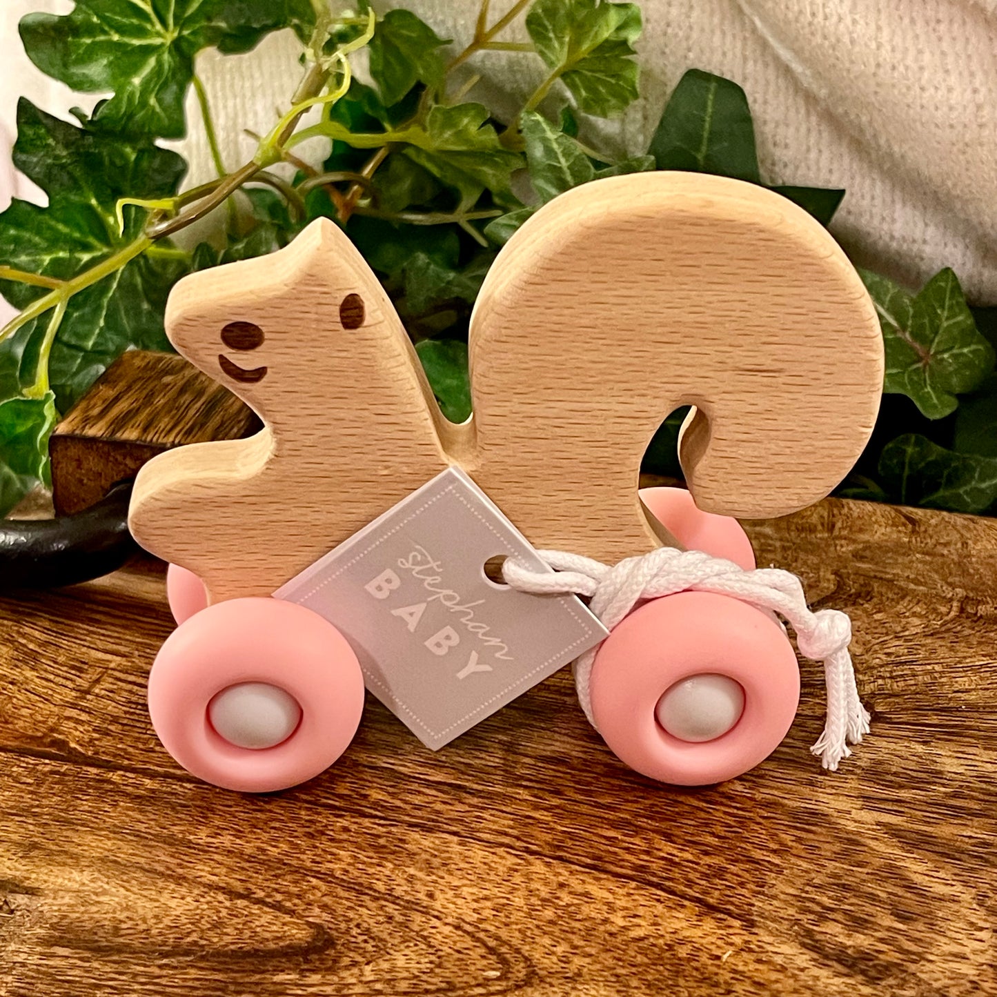 Wooden Push Teething Toy