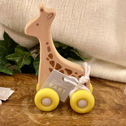 Wooden Push Teething Toy