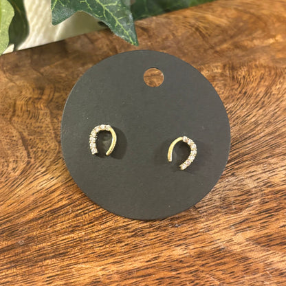 Horseshoe Post Back Earrings