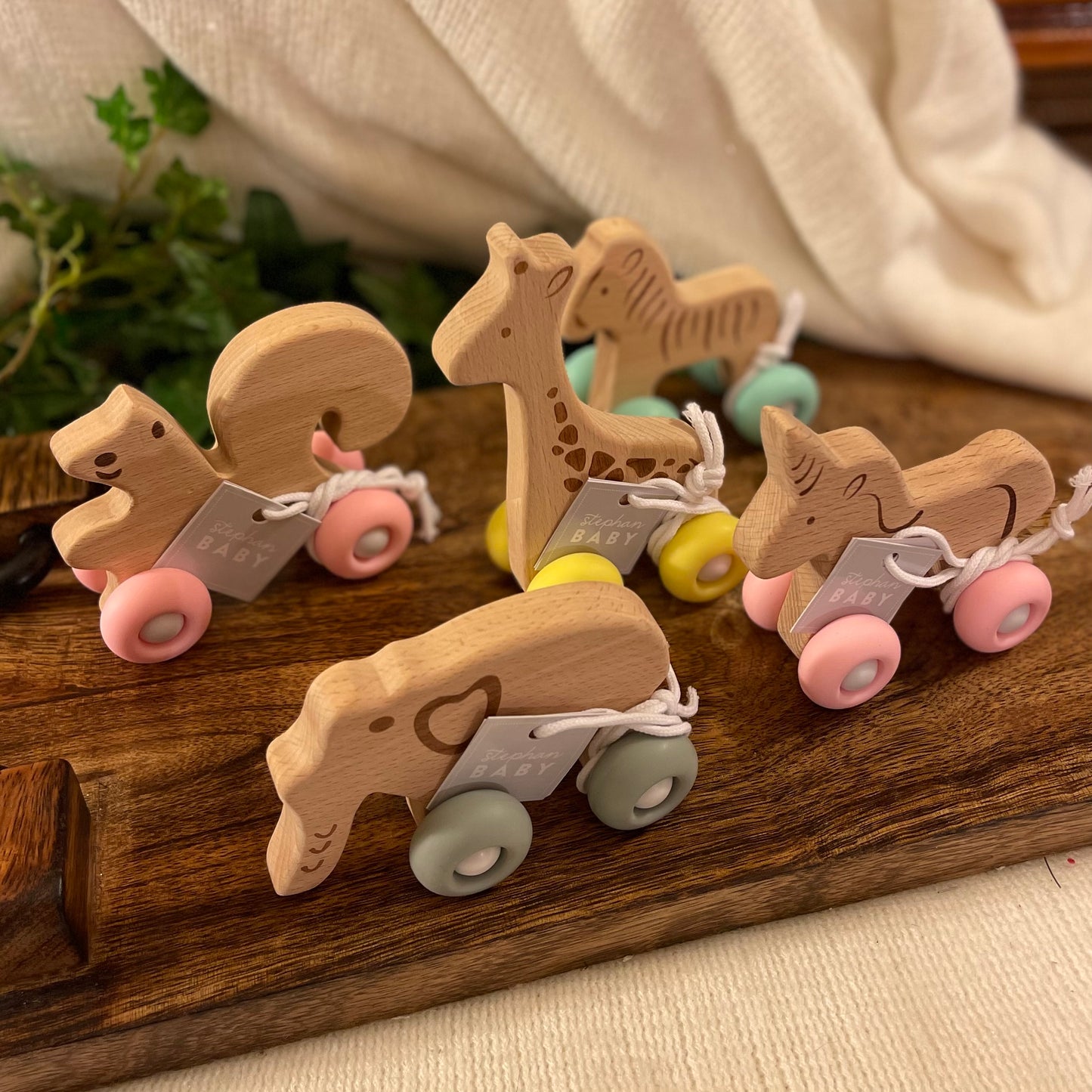 Wooden Push Teething Toy